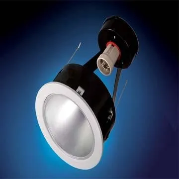 PAR30/PAR38 Downlight