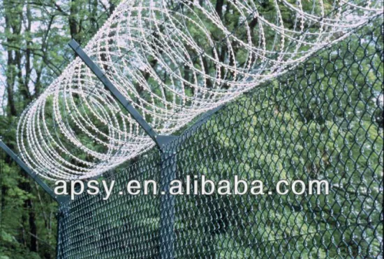 razor barbed wire mesh/best quality/Anping/protection/concertina