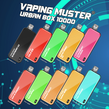 Hộp đô thị E-Cigarette 10000