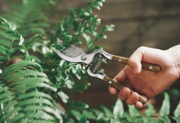 hot selling Pruning shears