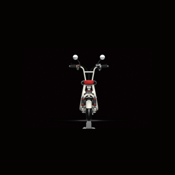 2 seat electric bicycle 48v 13ah electric bike