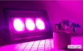 Växthus Hydroponic 50W 100W 150W Led Grow Light