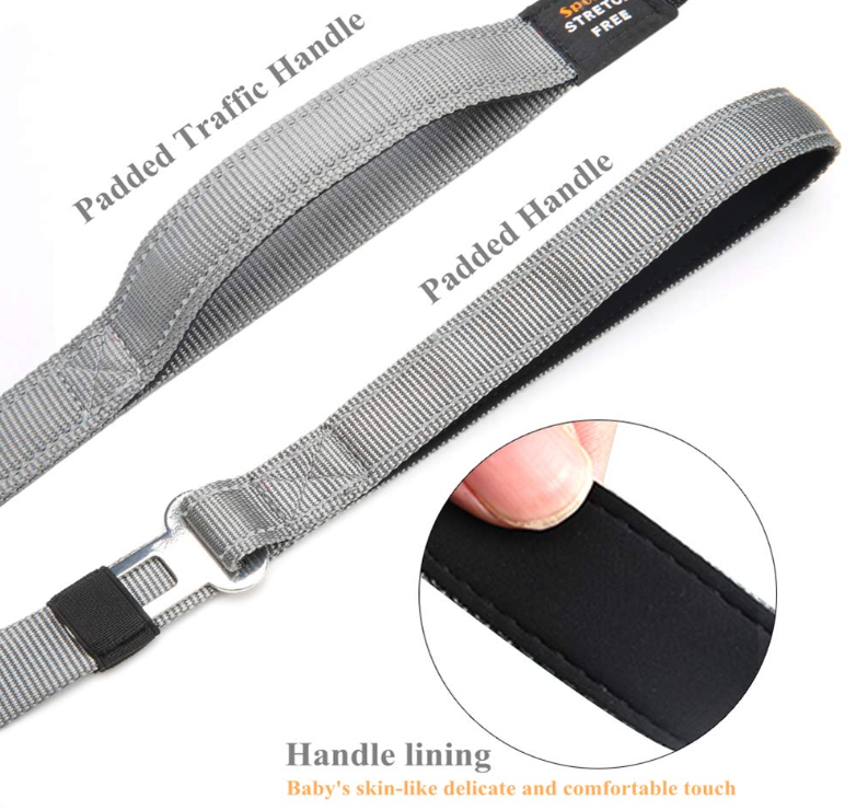 2 Paded Handles Dog Leash