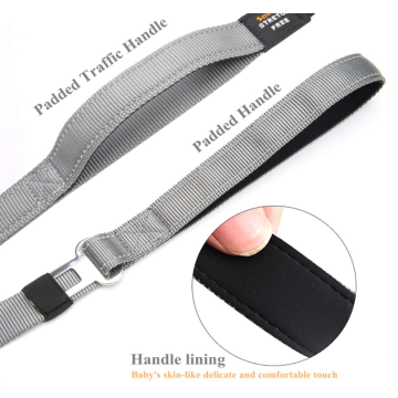 2 Paded Handles Dog Leash