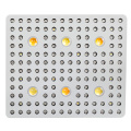 /msite/products/detail/productid/58040406/id/542345.html