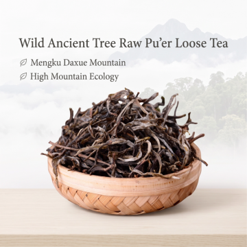 Wild Ancient Tree Raw Pu'er Loose Tea