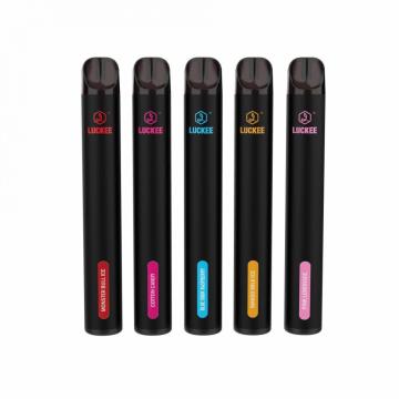 2022 Novos produtos 600 Puffs 2ml eliquid vape