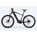 Bicicleta de montaña de descenso eléctrico personalizado