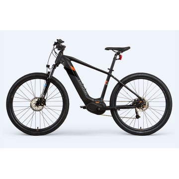 Customized Electric Downhill Mountain Bike