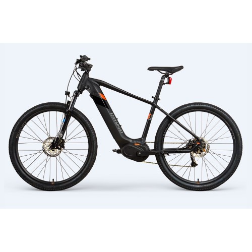 Individuelles elektrisches Downhill Mountainbike