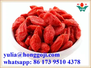 New Crop Dried Goji Berry Organic Good Price