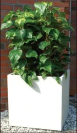 Modern fiberglass planters