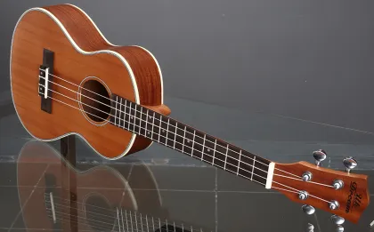 Handmade stringed instrument  mahogany   ukulele