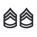 US Army Sergeant Major Black Collar Device Rank