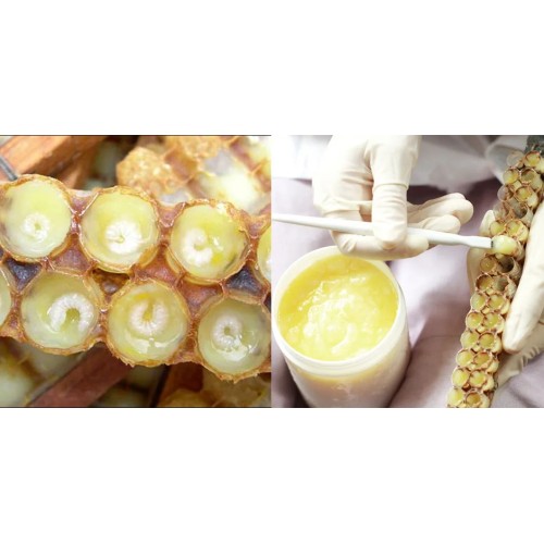 Lyophilized Royal Jelly Freeze Dried Royal Jelly Powder