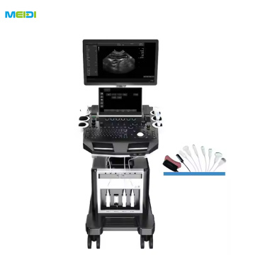 Trolley Color Doppler Ultrasound Machine Heart Probe 3D 4D Echografo Ultrasound Scanner Human 4D Ultrasound Machine