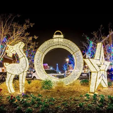 3D Star led christmas lighting