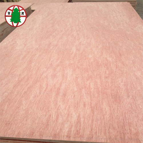 two times hot press bintangor plywood for furniture