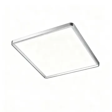 Modern Ceiling Lamp with Dimmable Options