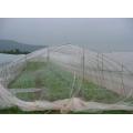 plastic fly anti insect netting