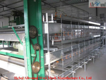 poultry cages suppliers  