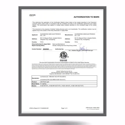 2x2 LED Panel Troffer - Energy Efficient Edge-Lit Ceiling Light