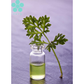 ISO9001 Chinese Medicine Organic Mugwort Leaf Extract