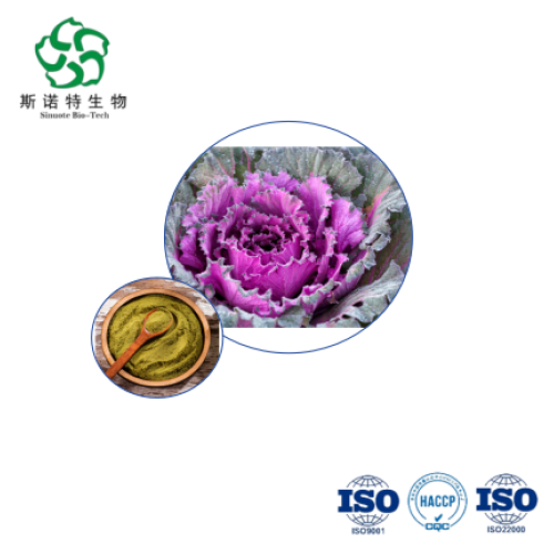 Premium Brassica Rapa Extract Bulk 10:1 for Supplements