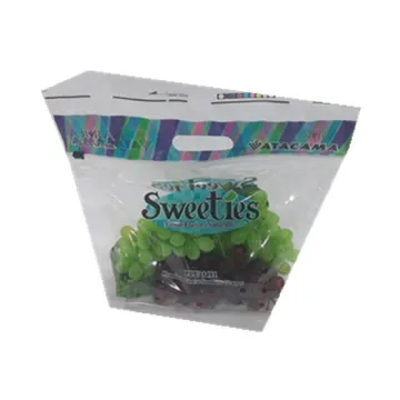 Custom Printed Plastic Packaging Bag For Dried Food Fruits Zipper Bag