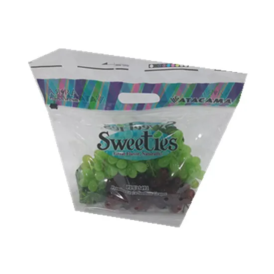 Custom Printed Plastic Packaging Bag For Dried Food Fruits Zipper Bag