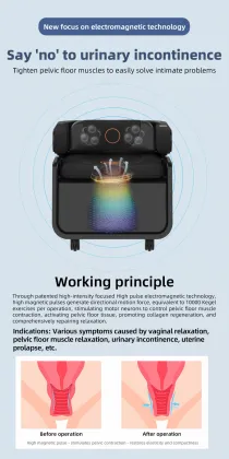 Female pelvic floor repair chair Pelvic floor resonance chair