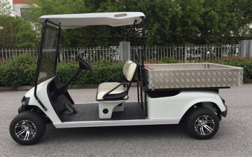 cheap Pure electric golf cart