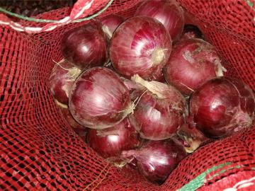 Cipolla Rossa Fresca Sana