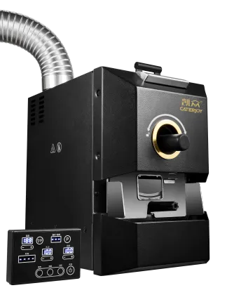 Small Electric Coffee Bean Roaster 100-500g Roasters Machine
