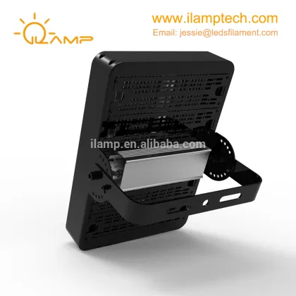 High lumen P hilips Lumileds COB IP65 Waterproof Outdoor 250w led flood light