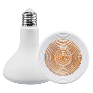 China OEM High Lumen 12W COB Spotlight PAR Lamp - Warm White/Cold White 900lm PAR30 LED Bulb