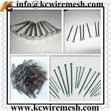 Polished Common Iron Nails
