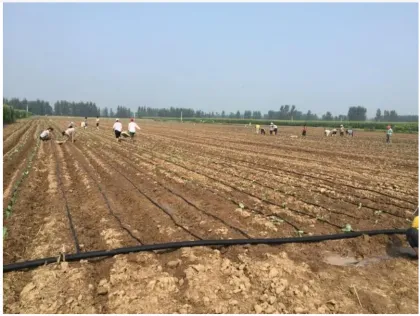 Drip Irrigation Tape 16mm for Agricultural Irrigation Systems