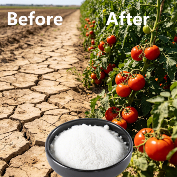 Betaine Anhydrous protect plants from abiotic stress