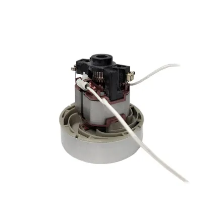 100V 110V 120V 220V 240V 600-800W Vacuum Cleaner Parts Dry  Horizontal Vacuum Cleaner Motor
