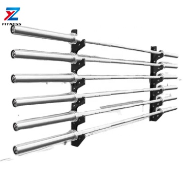 ZYFITNESS Home Use Fitness Equipment: Barbell Rack & Wall Mounted Storage Solution