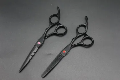 GOLDLLAR 6 Inch Stainless Steel Barber Scissors for Stationery and Haircut