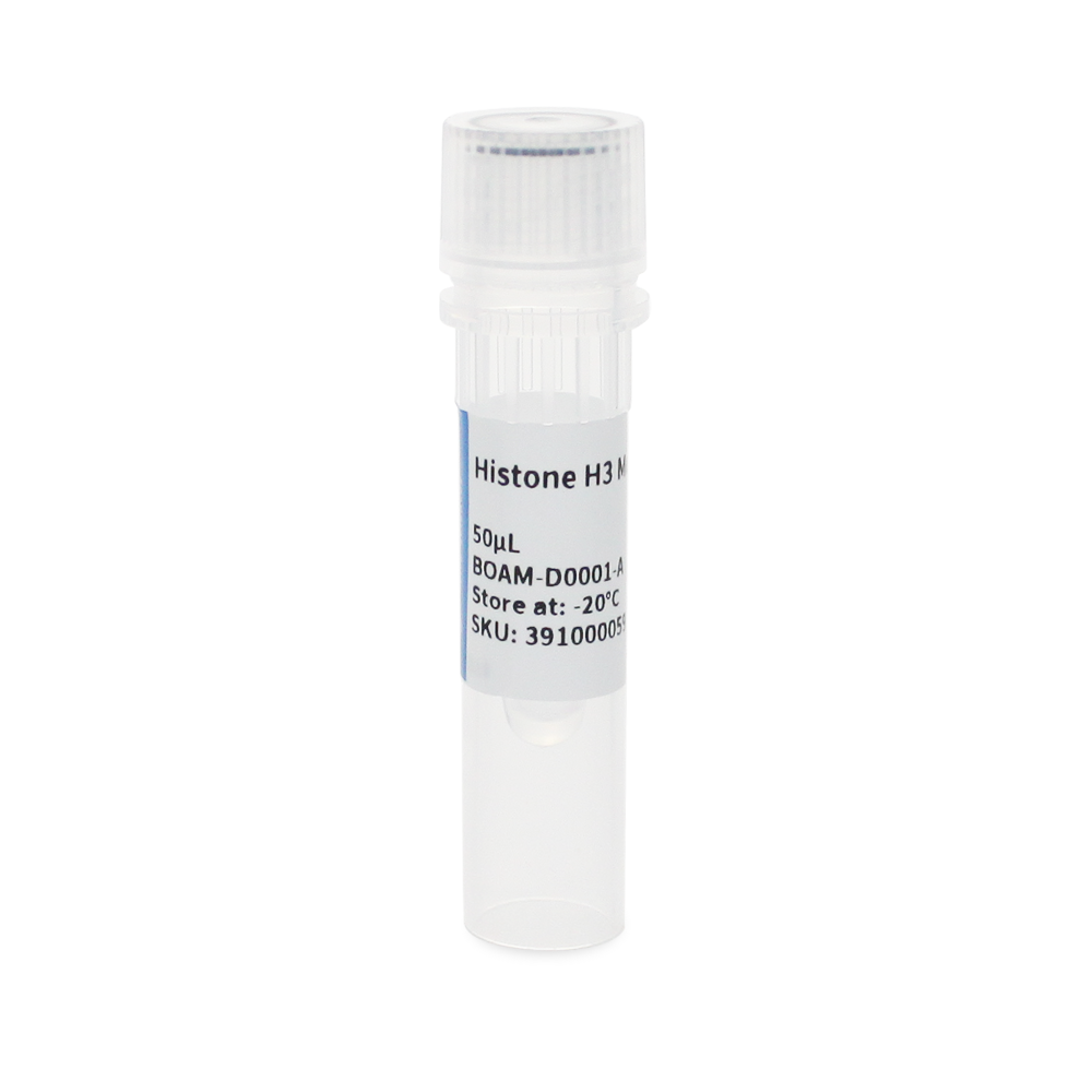 Histone H3 Fare Monoklonal Histone H3 Mouse Monoclonal