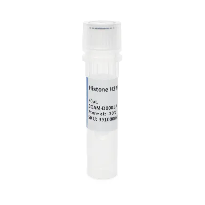 Histone H3 Mouse Monoclonal