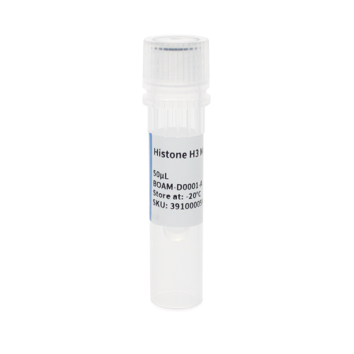 Histone H3 Fare Monoklonal