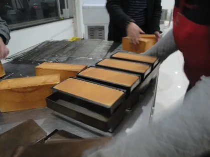 Bread Maker Loaf Bread Moulder Bread Factory Toast Making Machine