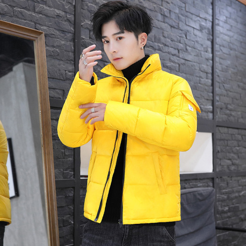 Men's casual winter coat