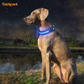 Mjuk Eva Night Security Led Light Up Dog Collar