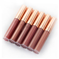 ny privat etikett lipgloss normal glansig lipgloss