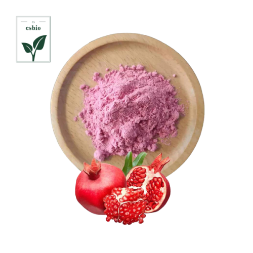 High Quality Instant Pomegranate Fruit Juice Powder